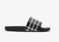 berry slides